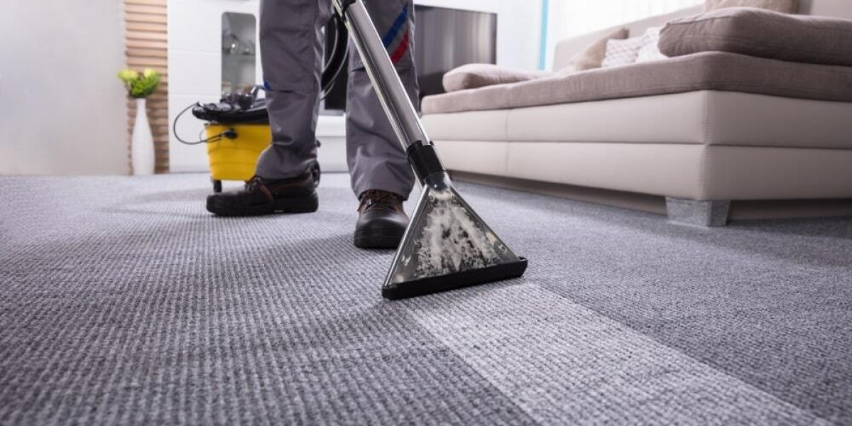 Why Professional Carpet Cleaning Is a Must for Pet-Friendly Homes