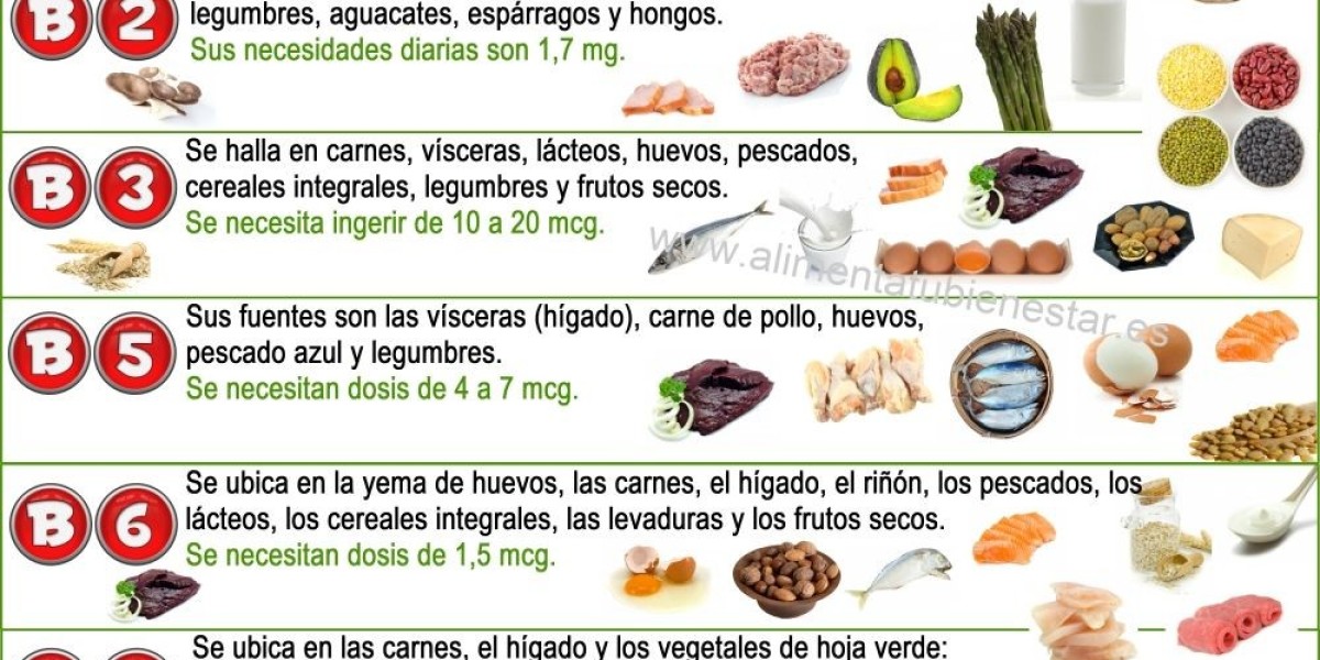 Top Mejores gelatinas según la OCU 【2024】